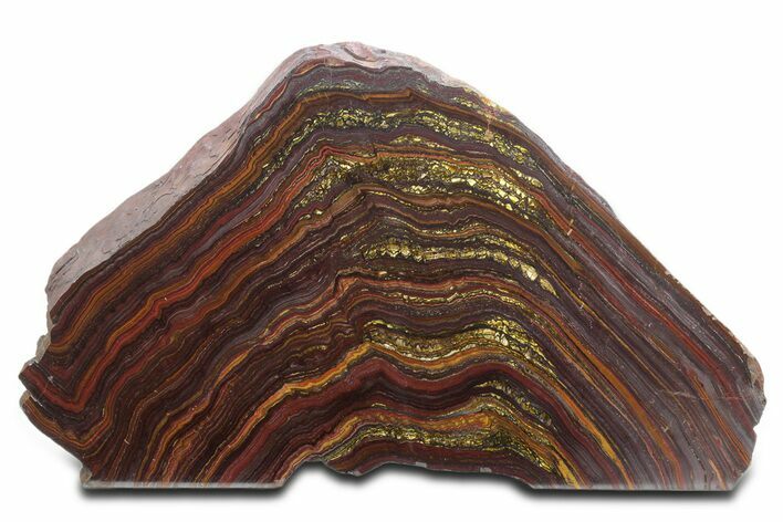Tiger Iron Stromatolite Stand Up - Billion Years #354885